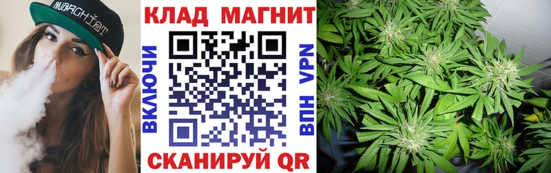 Виды наркотиков купить Полярный КОКАИН  Псилоцибиновые грибы  АМФЕТАМИН  Меф  ГАШ  A-PVP 