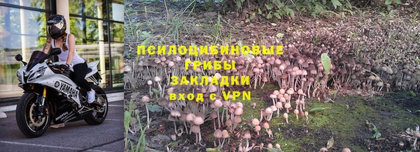 каннабис Абинск