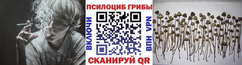 сколько стоит  Полярный  Галлюциногенные грибы GOLDEN TEACHER 